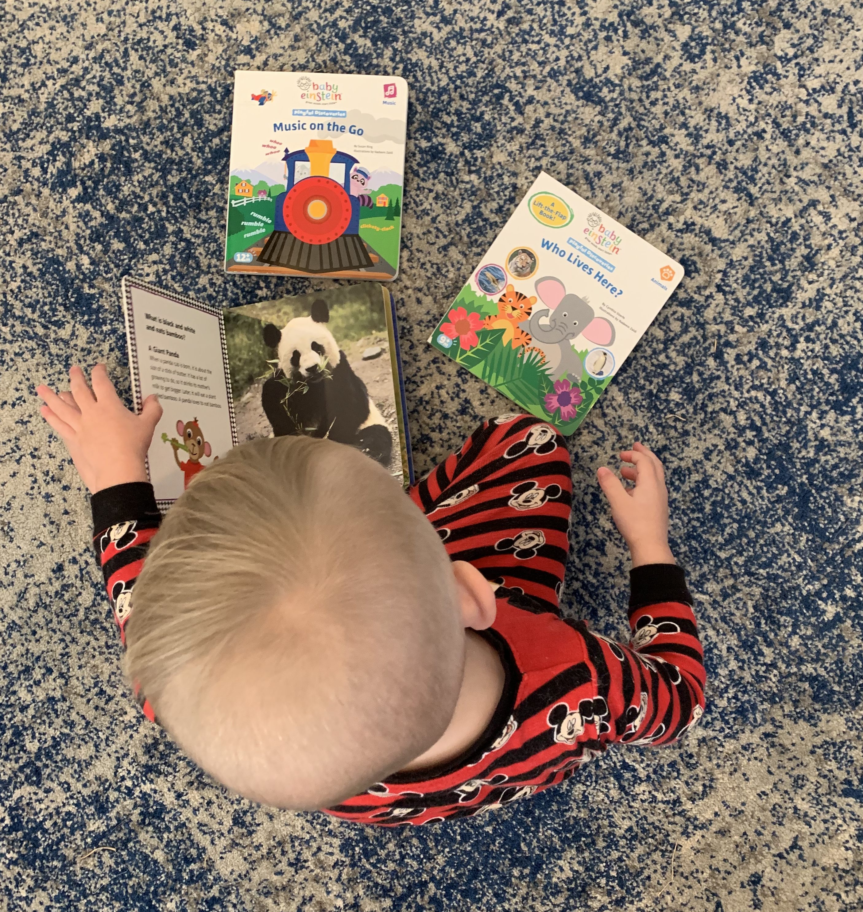 Baby Einstein GoodGrandma