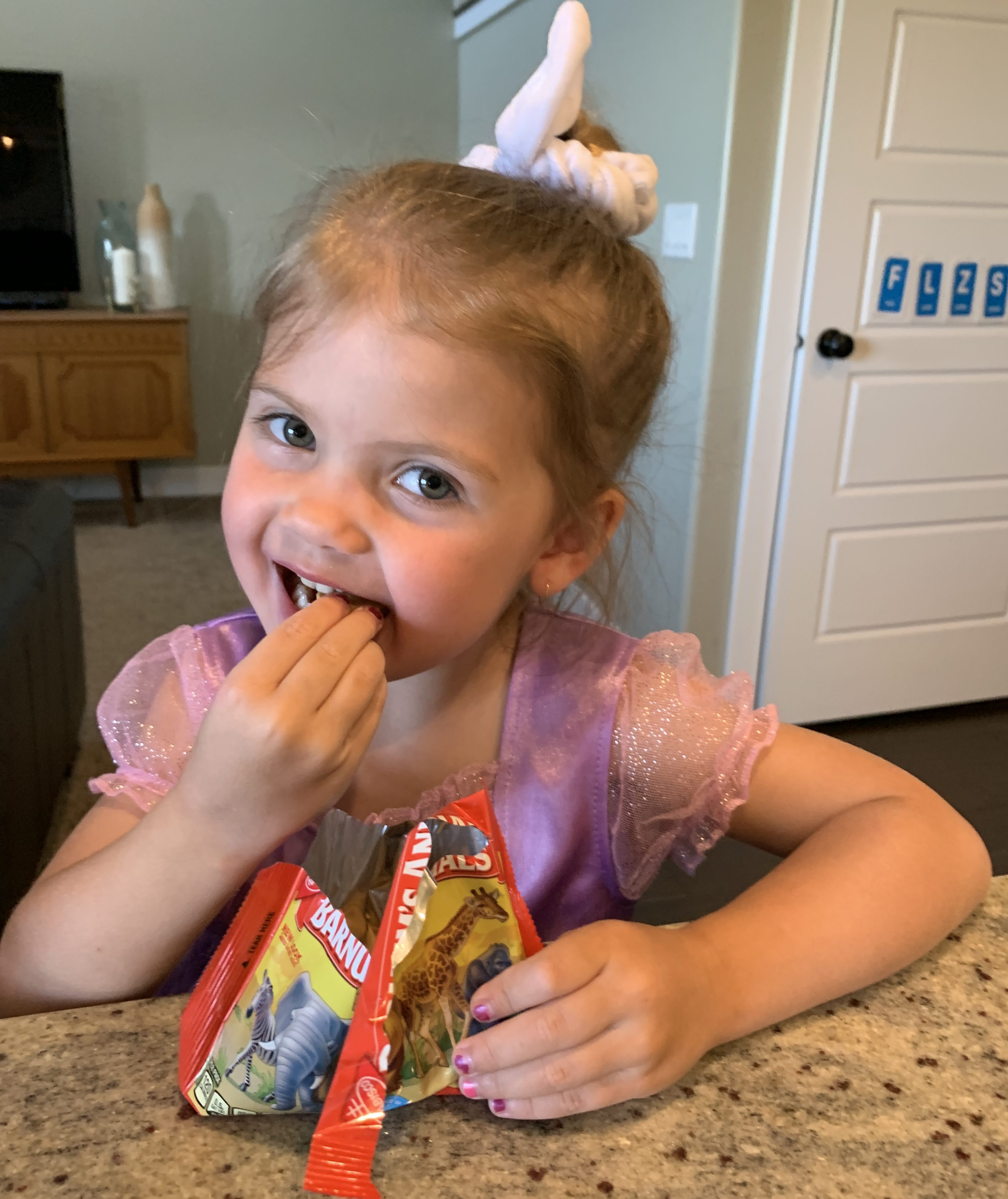 Reason to Celebrate Animal Crackers GoodGrandma